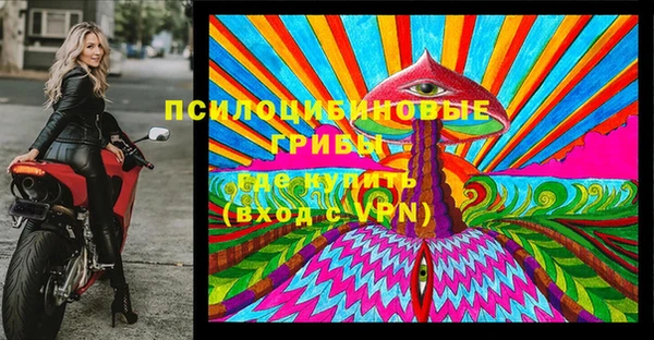 стафф Беломорск