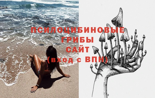 кокаин премиум Белокуриха